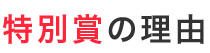 特別賞の理由